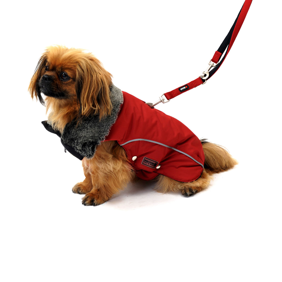 Wolters Winterjacke für Hunde Amundsen