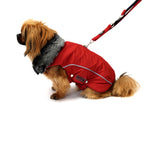 Wolters Winterjacke für Hunde Amundsen