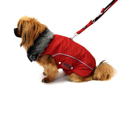 Wolters Winterjacke für Hunde Amundsen