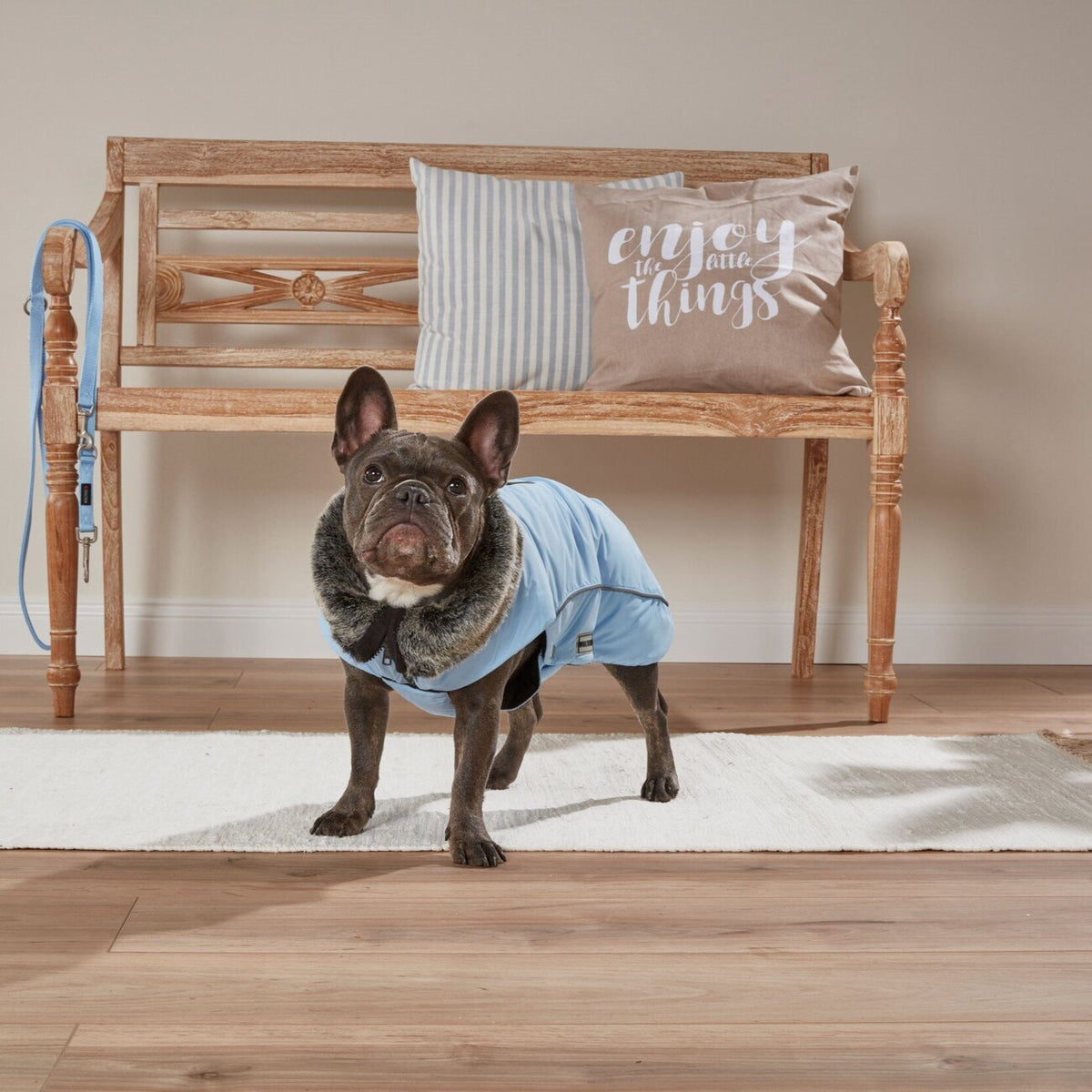 Wolters Winterjacke für Hunde Amundsen