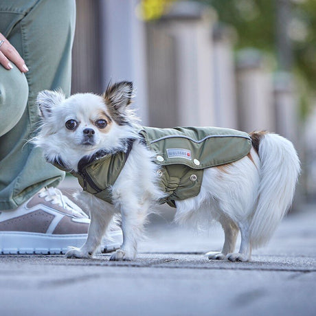 Wolters Winterjacke für Hunde Amundsen