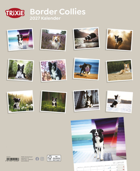 TRIXIE 2027 Kalender Border Collies