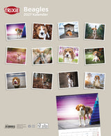 TRIXIE 2027 Hundekalender Beagle