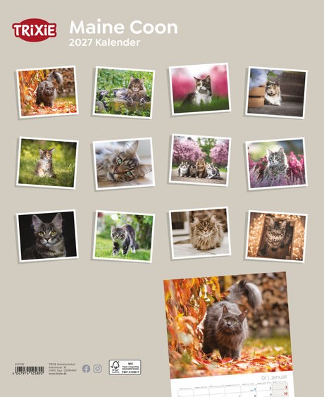 TRIXIE 2027 Kalender Maine Coon Katzen