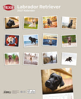 TRIXIE 2027 Hundekalender Labrador Retriever