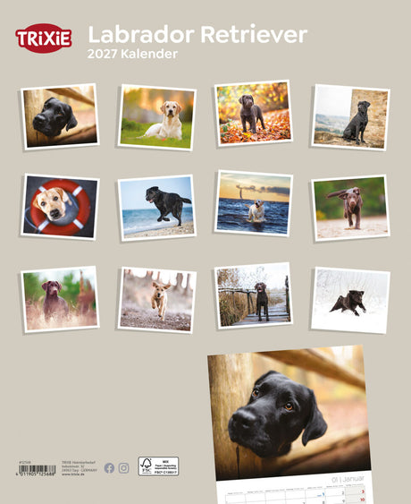 TRIXIE 2027 Hundekalender Labrador Retriever