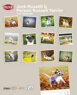TRIXIE 2027 Kalender Jack Russell & Parson Russell Terrier
